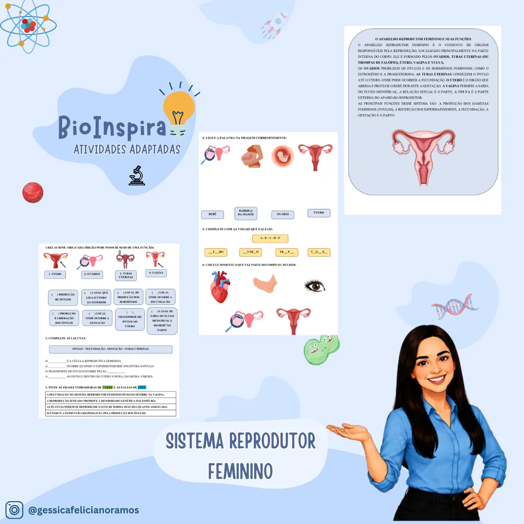 Atividade Adaptada: Sistema Reprodutor Feminino - Anatomia e Funções
