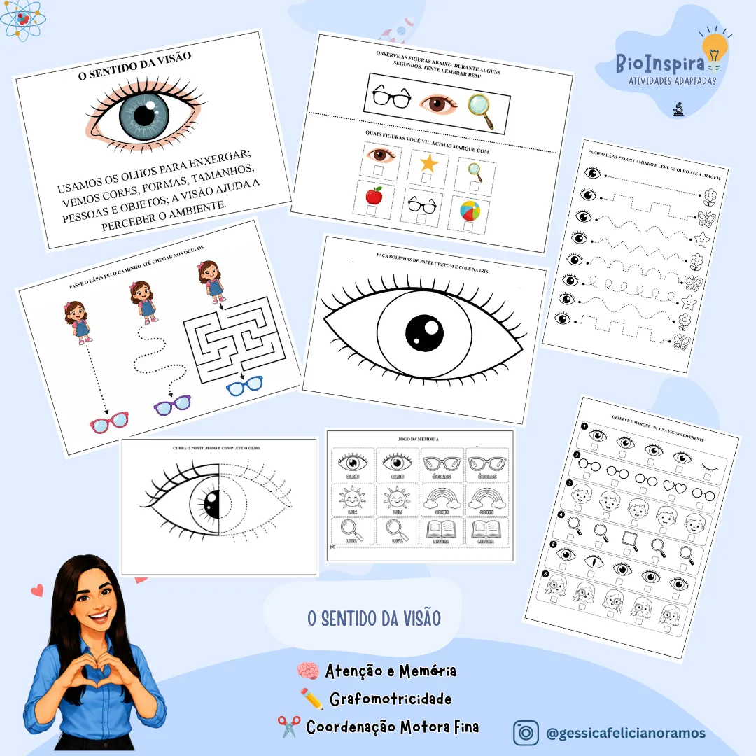 Atividade Adaptada sobre o Sentido da Visão – Educação Especial | Atenção, Memória e Coordenação Motora