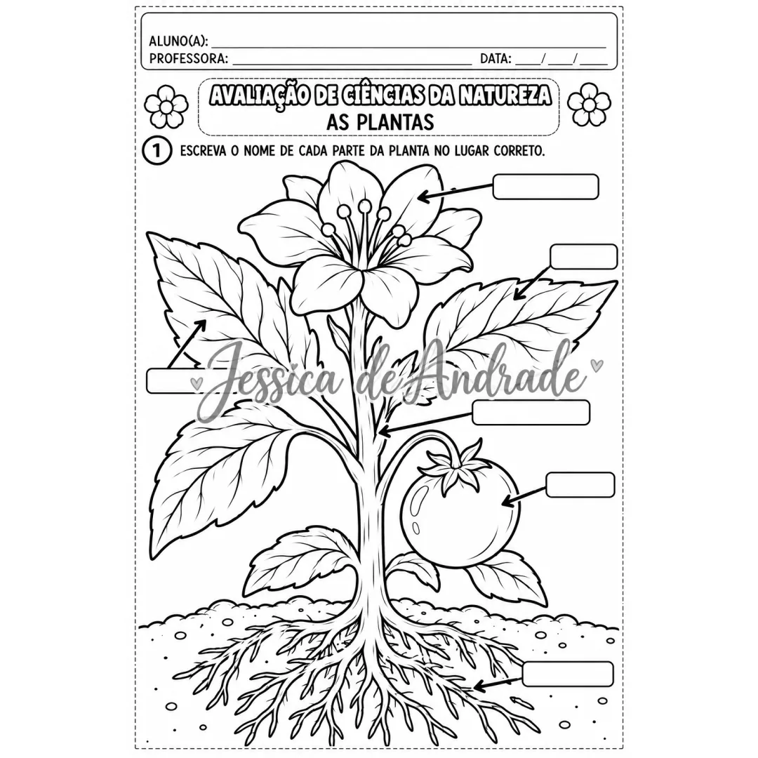 Atividade de Ciências Humanas - As Plantas para 2º e 3º ano - PDF