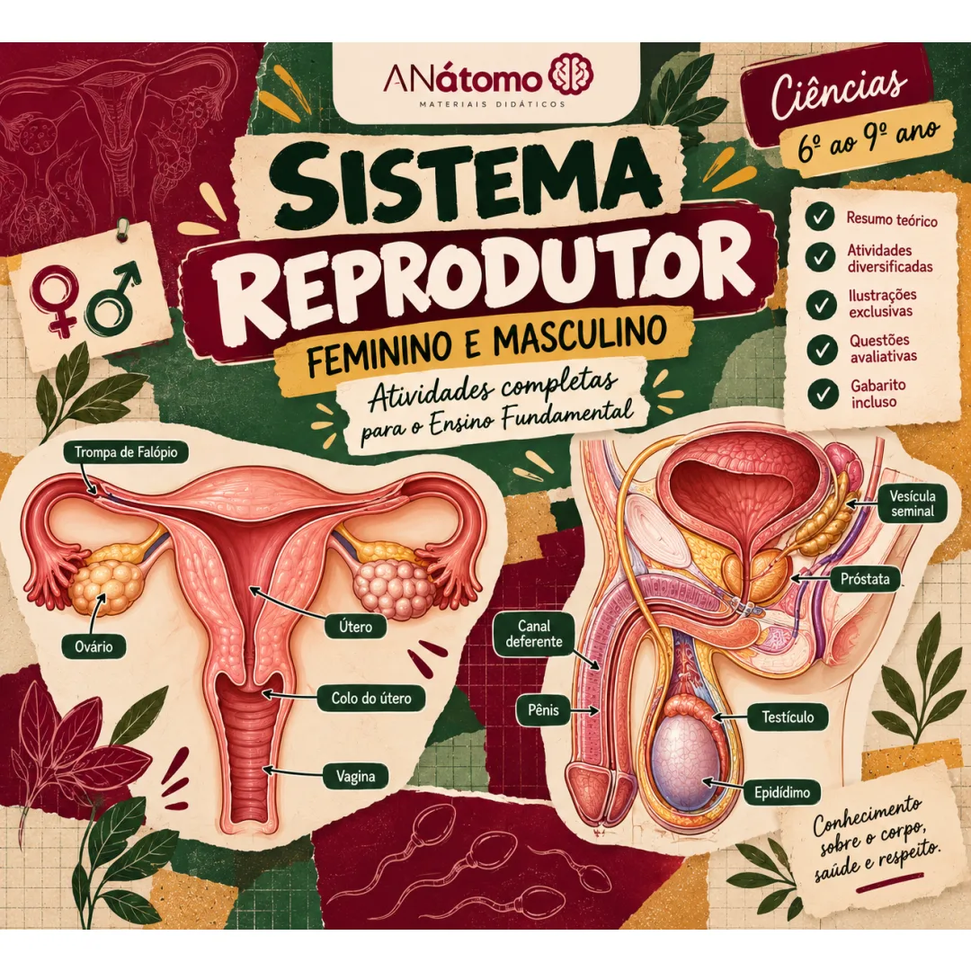 Atividade de Ciências sobre Sistema Reprodutor Feminino e Masculino para Ensino Fundamental em PDF
