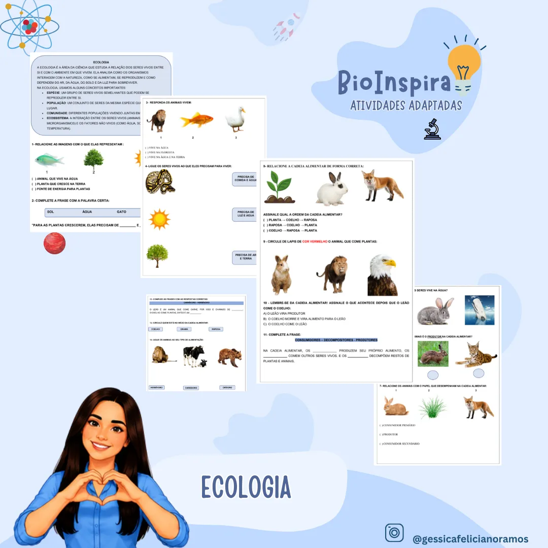 Atividades Adaptadas de Ecologia e Cadeia Alimentar (Educação Especial e AEE) 🌱🐇🦊