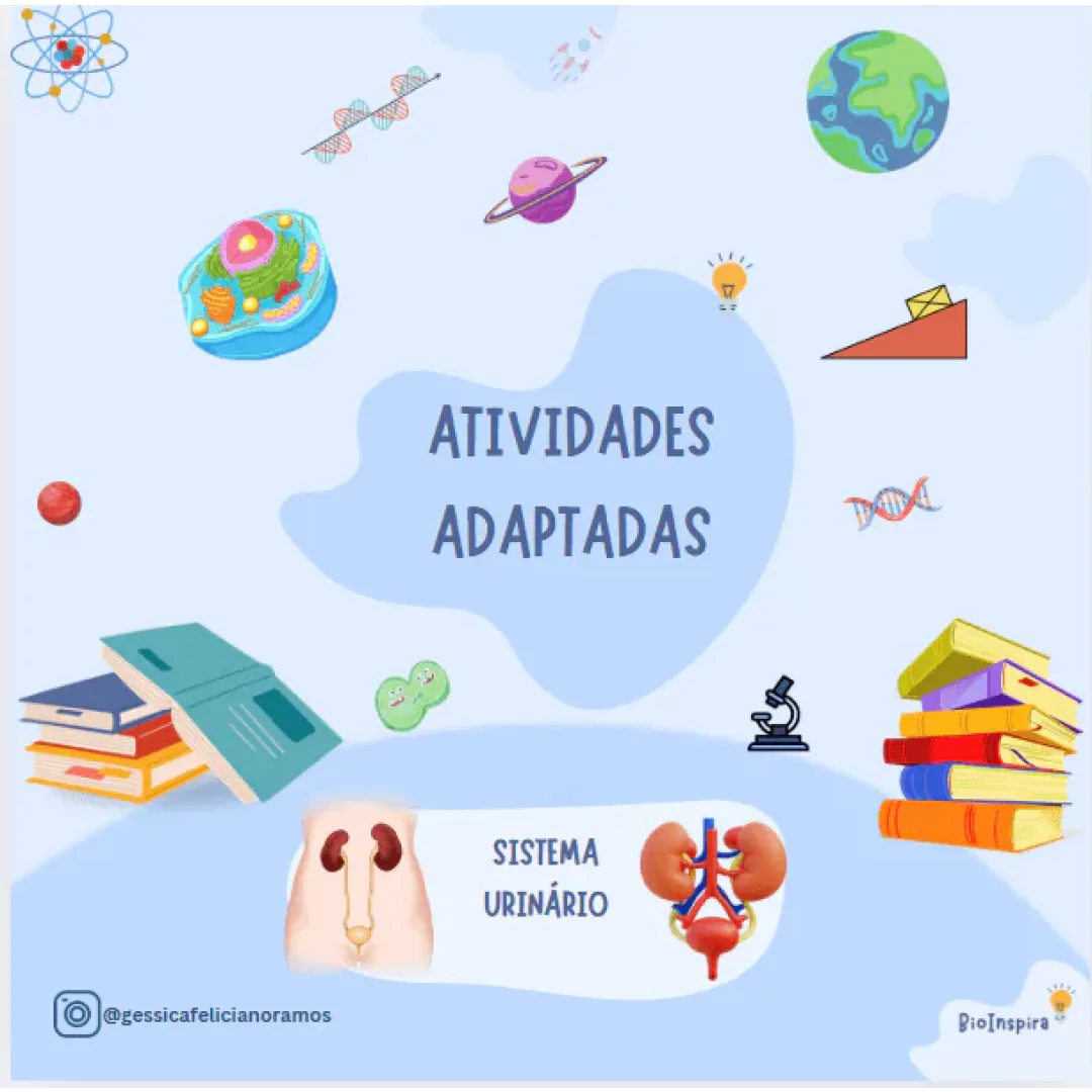 Atividades Adaptadas sobre o Sistema Urinário: Órgãos e Eliminação da Urina (Educação Especial e AEE)