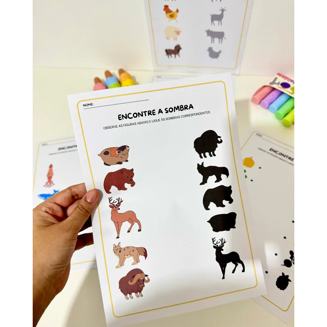 Atividades Sombras para Educação Infantil e Anos Iniciais 