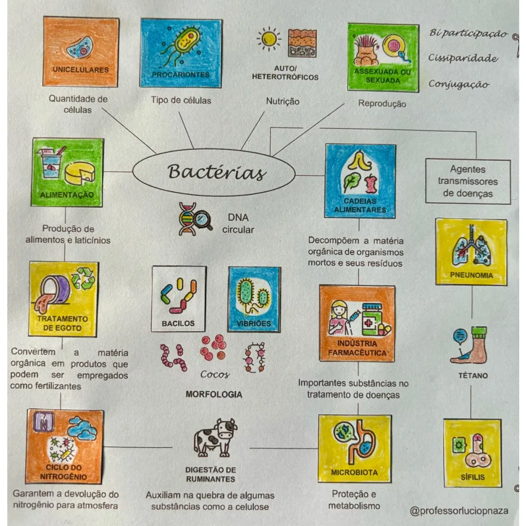 Bactérias em Mapa Mental com Recorte e Colagem em Pdf