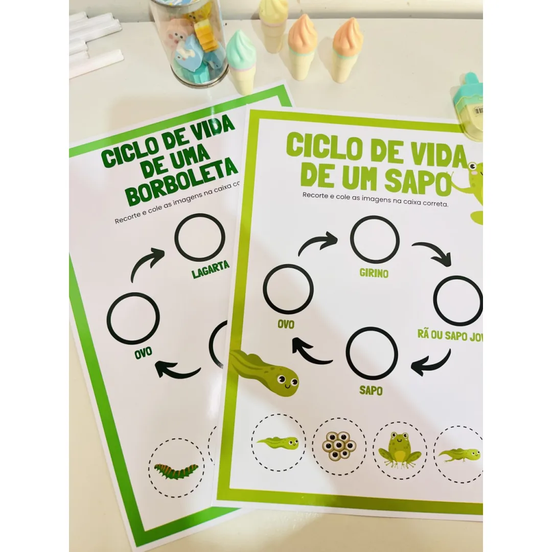 Ciclo de Vida — Pronto para Imprimir