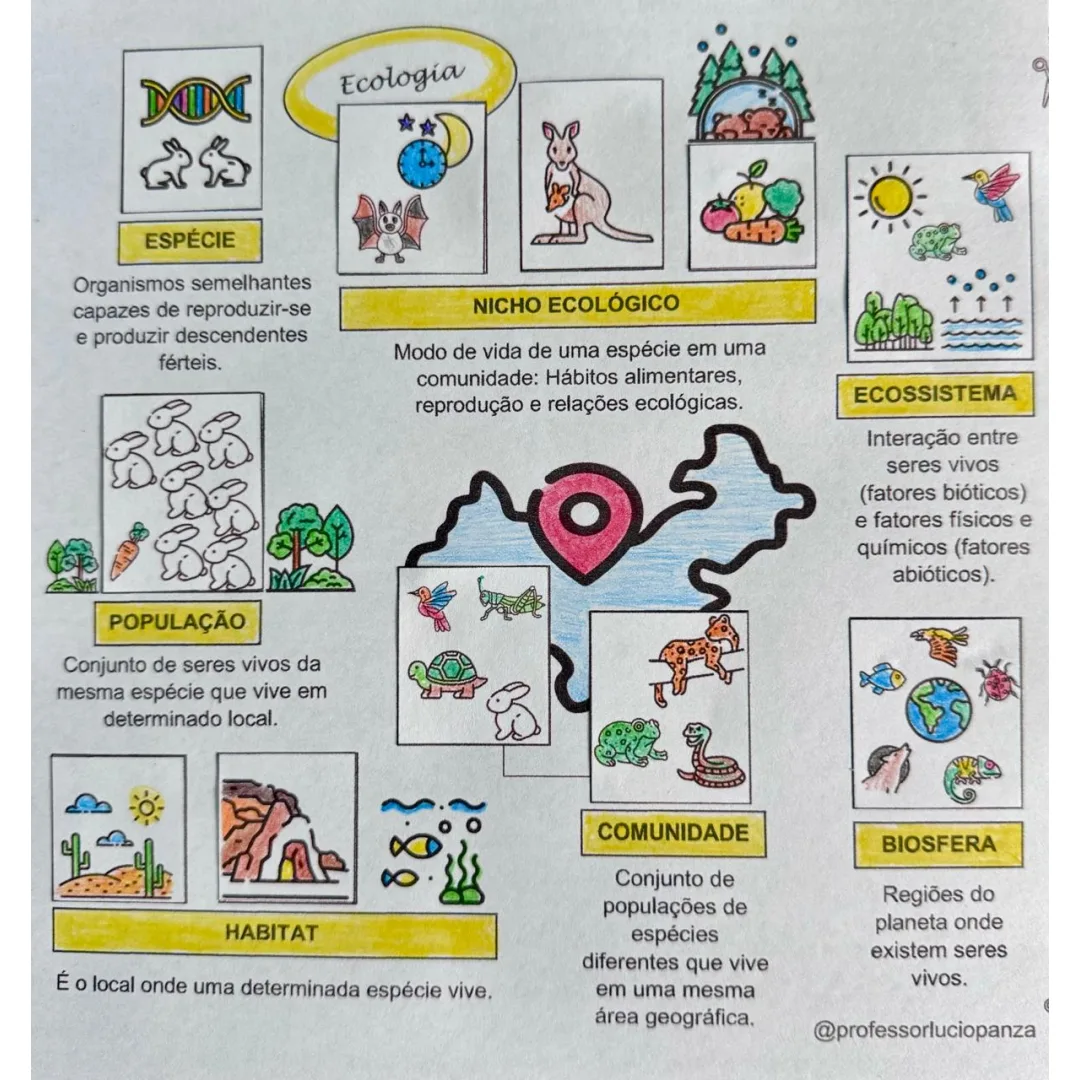 Ecologia Mapa Mental Recorte e Colagem em PDF