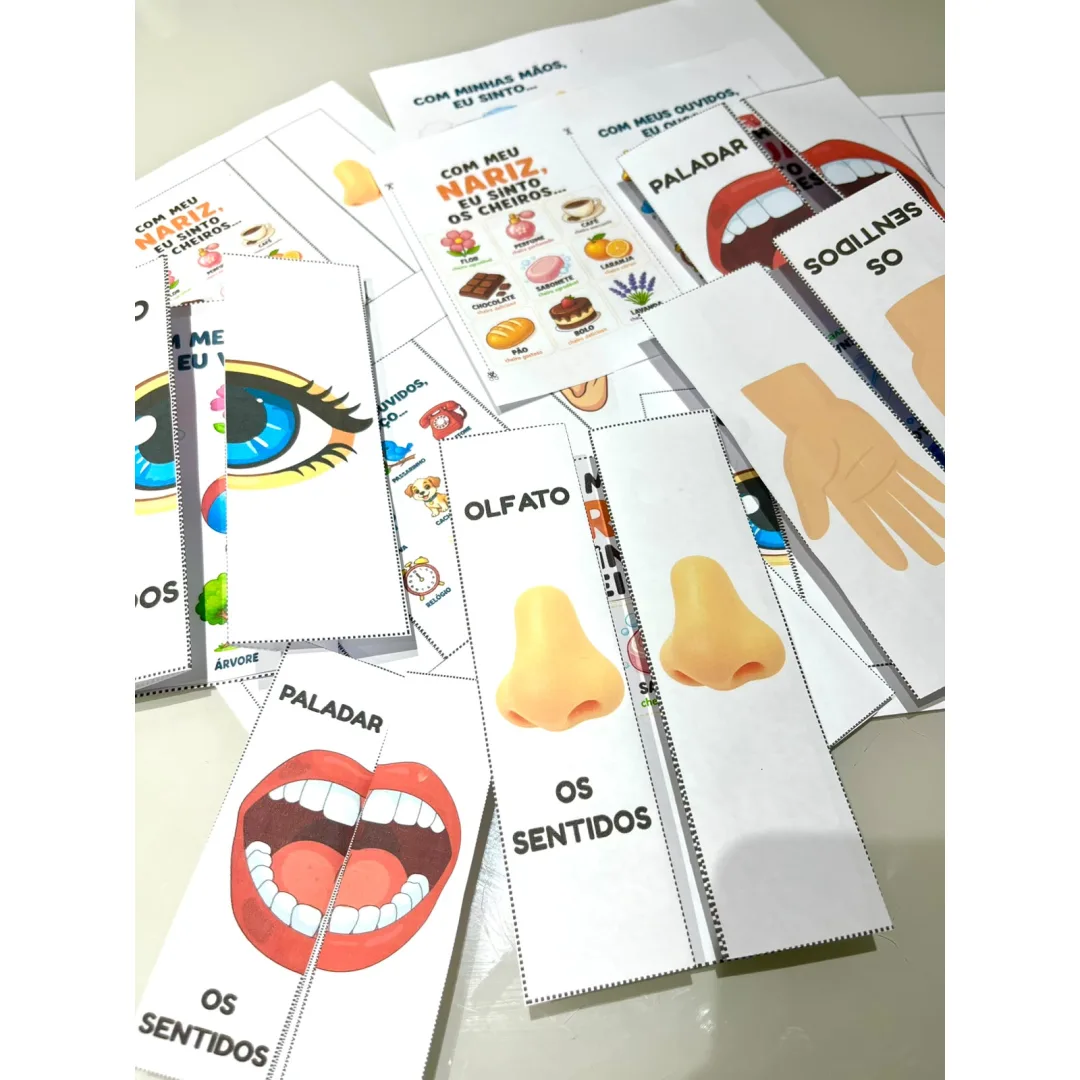 FLIP BOOK DOS SENTIDOS - Arquivo em PDF.