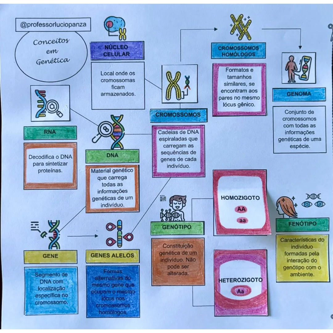 Genética Mapa Mental Conceitos Fundamentais em PDF 9° Ano