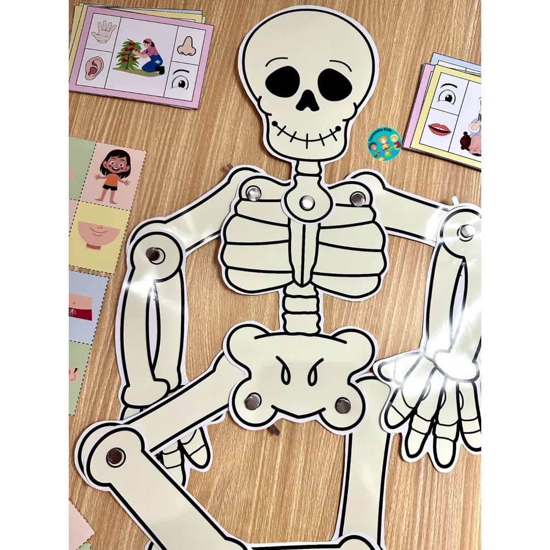 *🌈 KIT CORPO HUMANO* *💰8,90*  ❇️O material possui: 💀 ESQUELETO PARA MONTAR (2 TAMANHOS) 💀 JOGO DA MEMÓRIA 💀 QUEBRA-