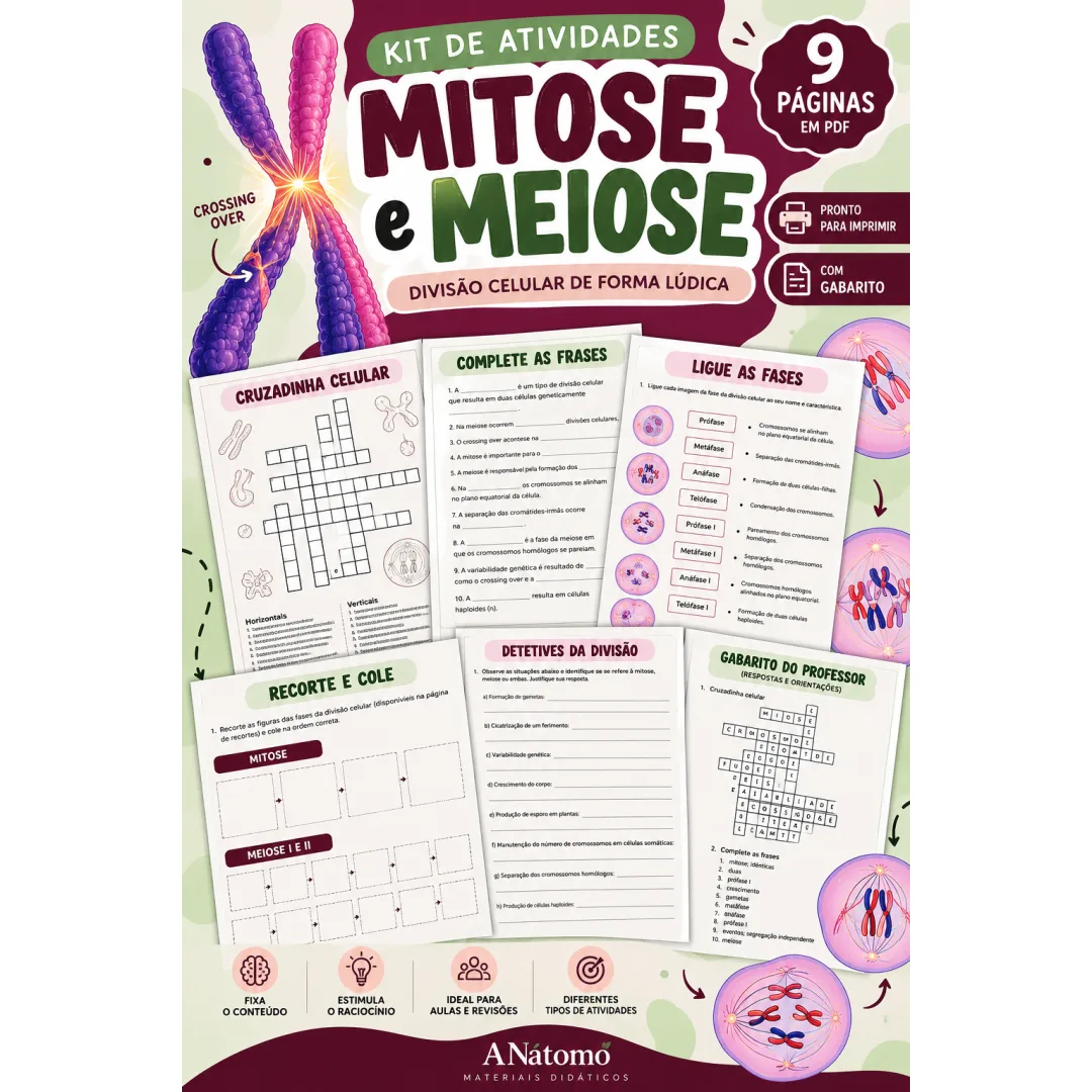 Kit de Atividades Lúdicas sobre Mitose e Meiose para Ensino Médio em PDF