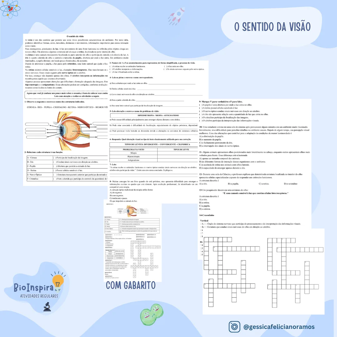 👁️ O Sentido da Visão e Anatomia Ocular: Atividade Impressa com Cruzadinha – 6º e 7º Ano (BNCC) 📝
