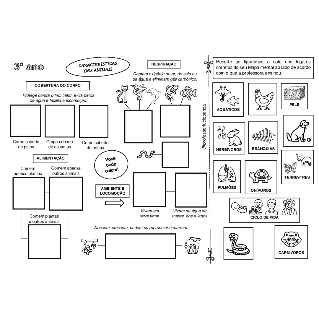 Característica dos Animais Mapa Mental Recorte e Colagem em PDF 3° Ano