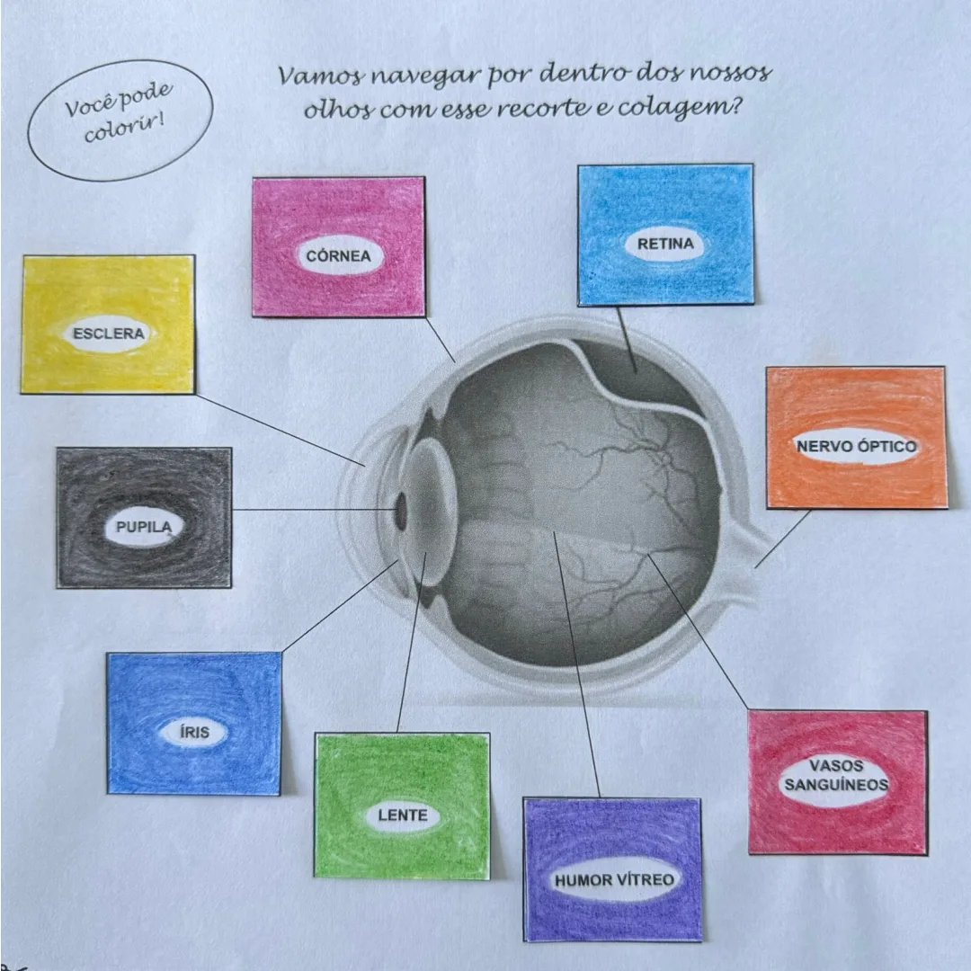 Olho Humno Mapa Mental Recorte e Colagem em PDF 6° Ano
