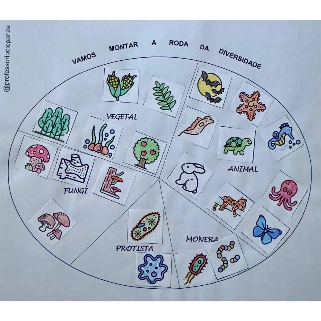 Os 5 Grandes Reinos Mandala Lúdica da Diversidade Recorte e Colagem em PDF 6° Ano