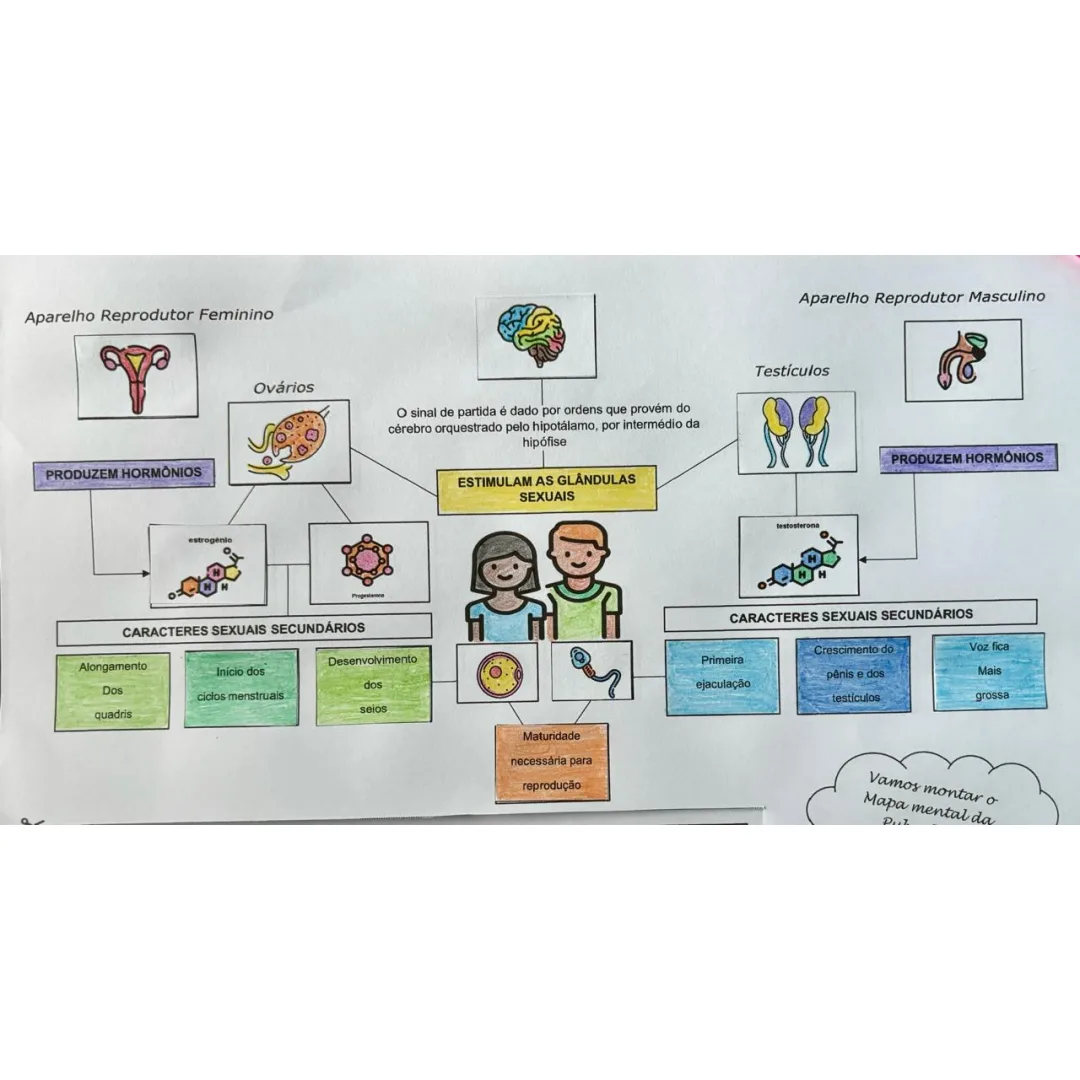 Puberdade/Sexualidade Mapa Mental Recorte e Colagem em PDF 8° Ano