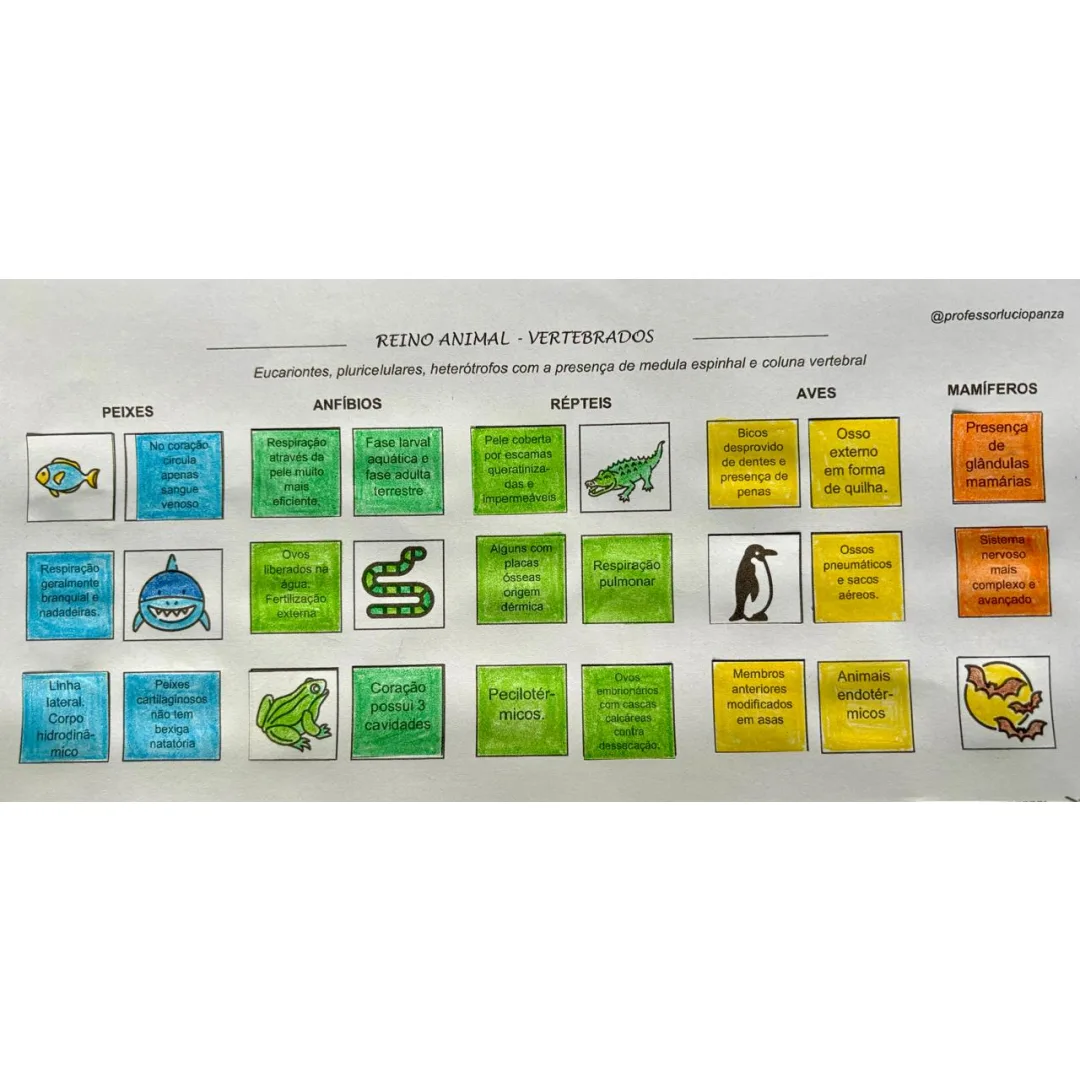 Reino Animal - Vertebrados Mapa Mental Recorte e Colagem em PDF 7° Ano