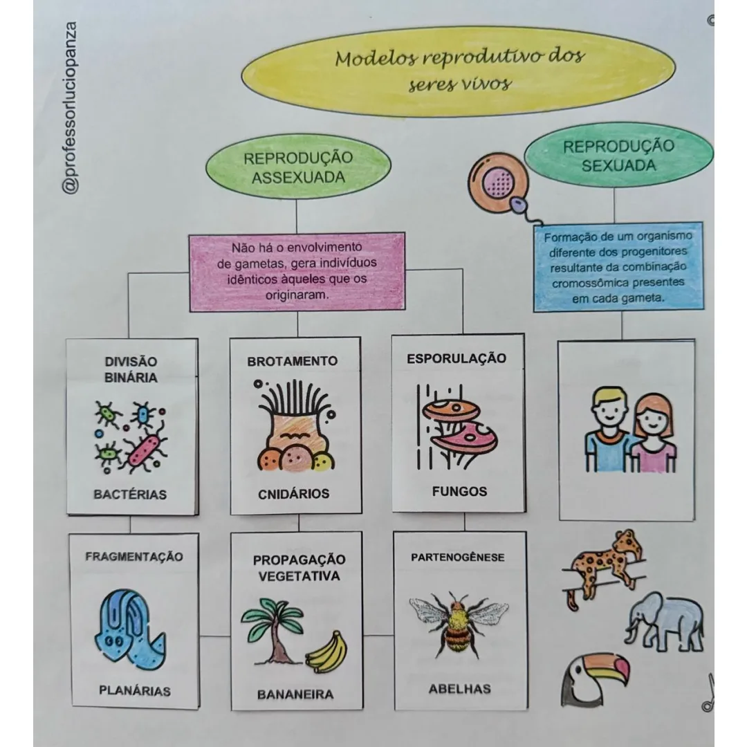 Reprodução Sexuada e Assexuada Mapa Mental Recorte e Colagem em PDF 8° Ano