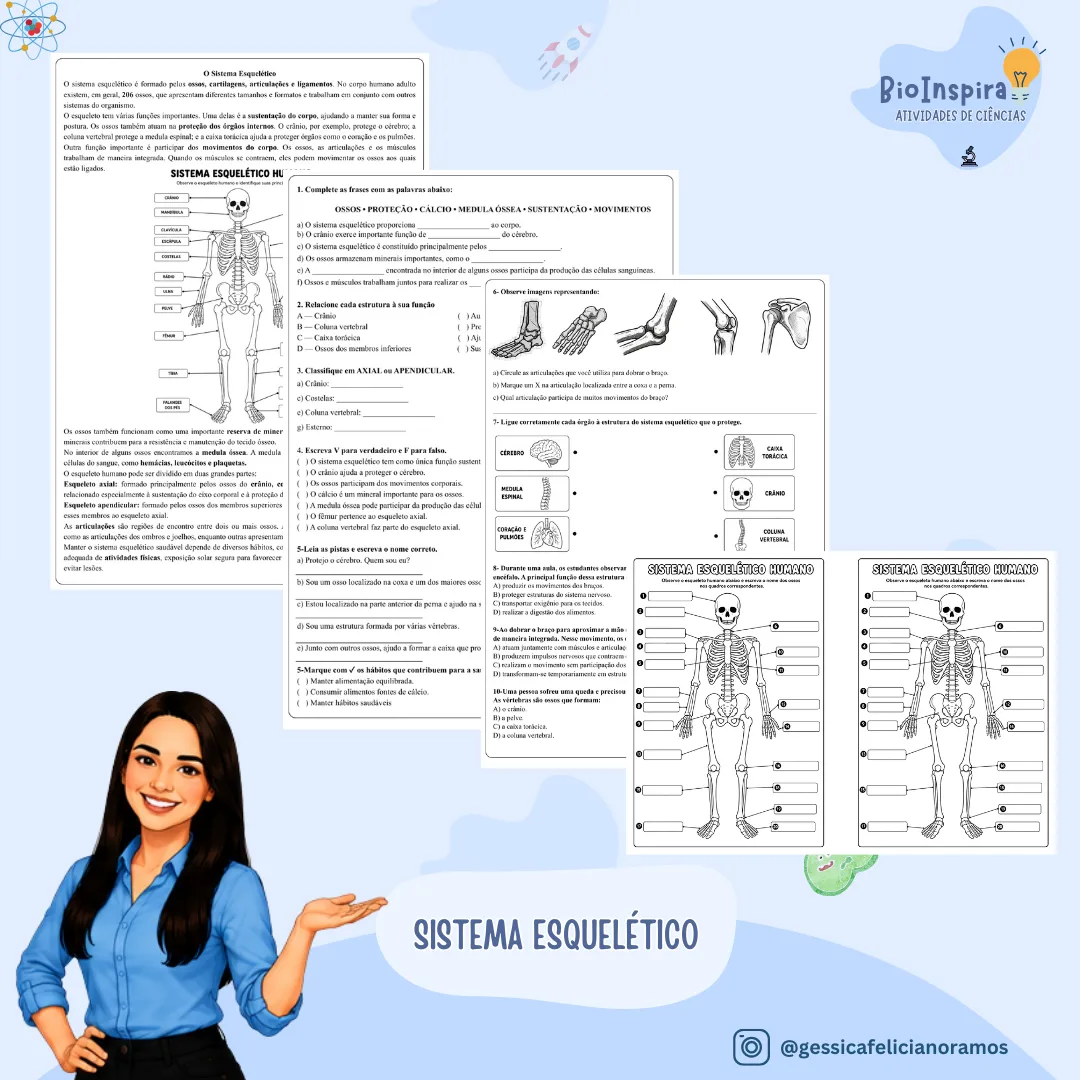 🦴 Sistema Esquelético e Corpo Humano: Atividade Impressa Completa com Exercícios Diversificados – 6º e 7º Ano (BNCC) 📝