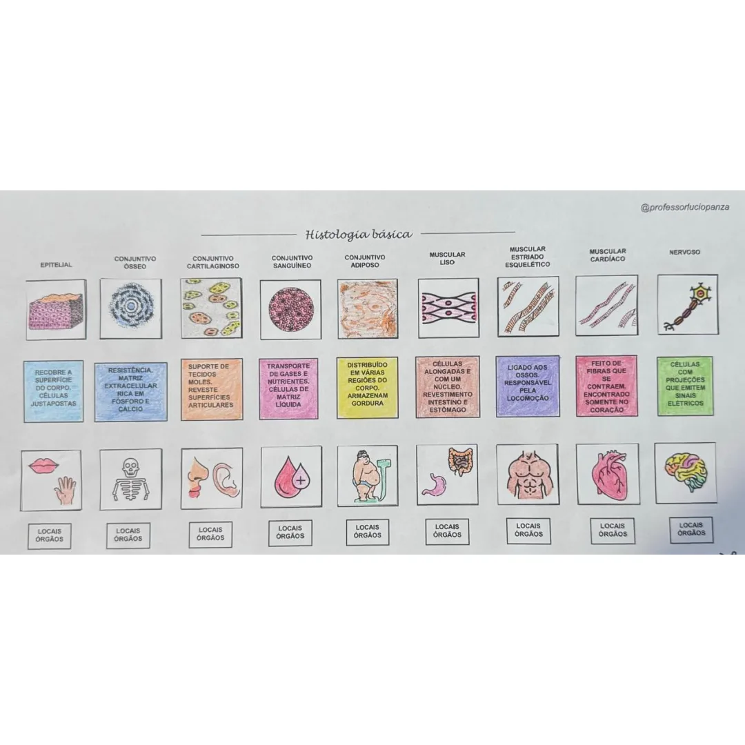 Tecidos Humanos Mapa Mental Recorte e Colagem em PDF