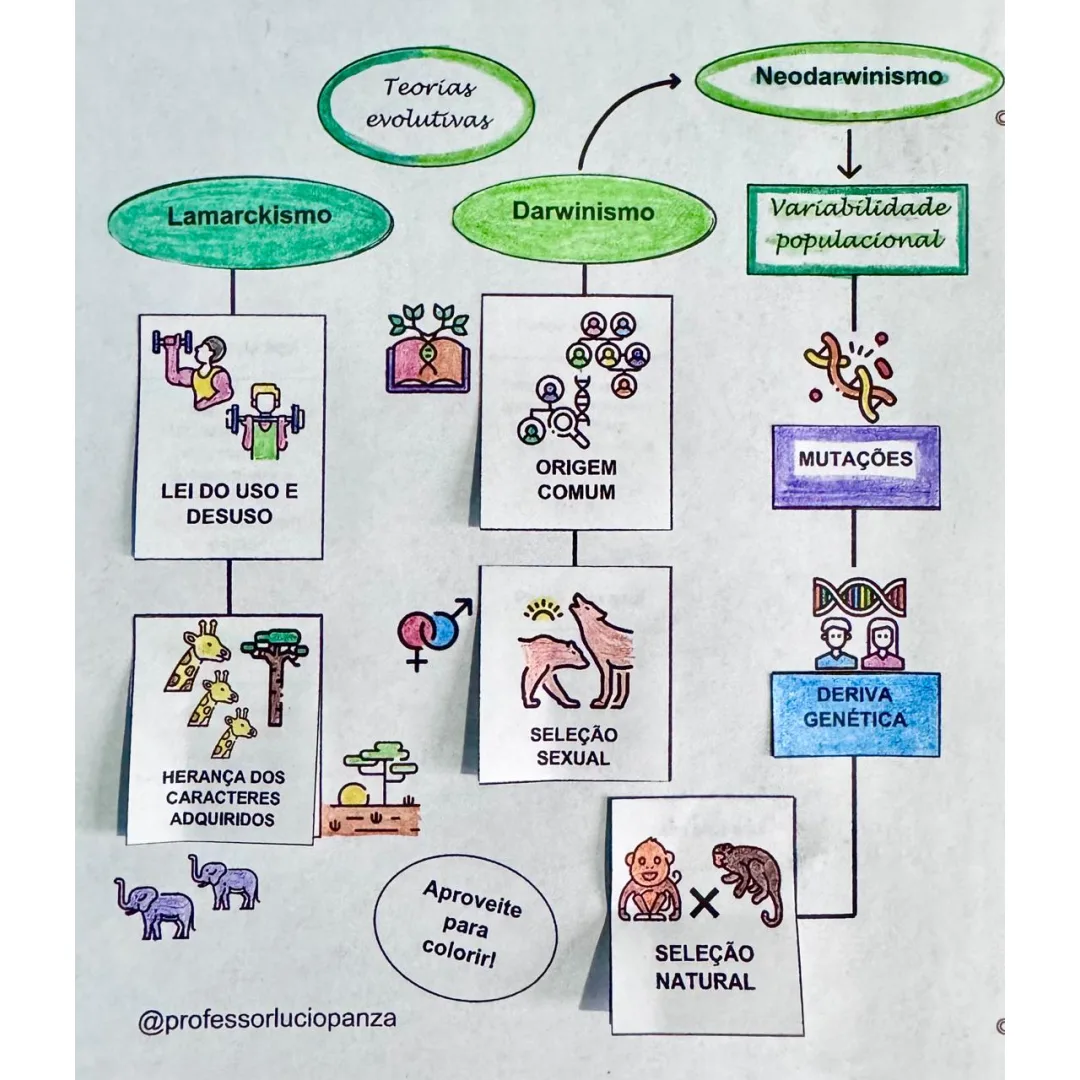 Teorias Evolucionistas Mapa Mental Recorte e Colagem em PDF 9°ano
