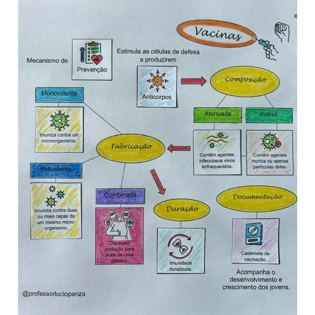 Vacinas Mapa Mental Recorte e Colagem em PDF 7° Ano