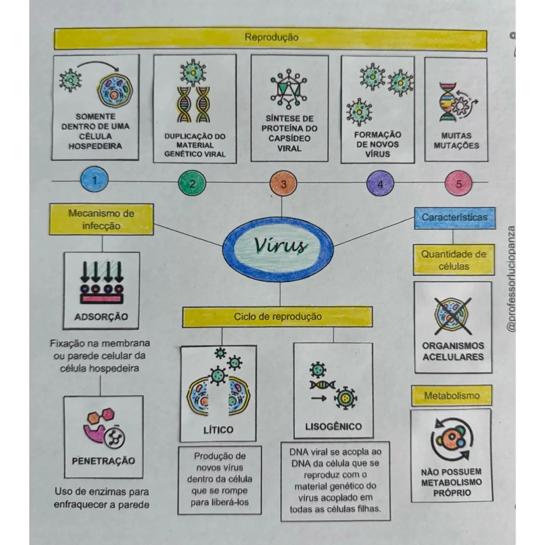 Vírus Mapa Mental Recorte e Colagem em PDF 7° Ano