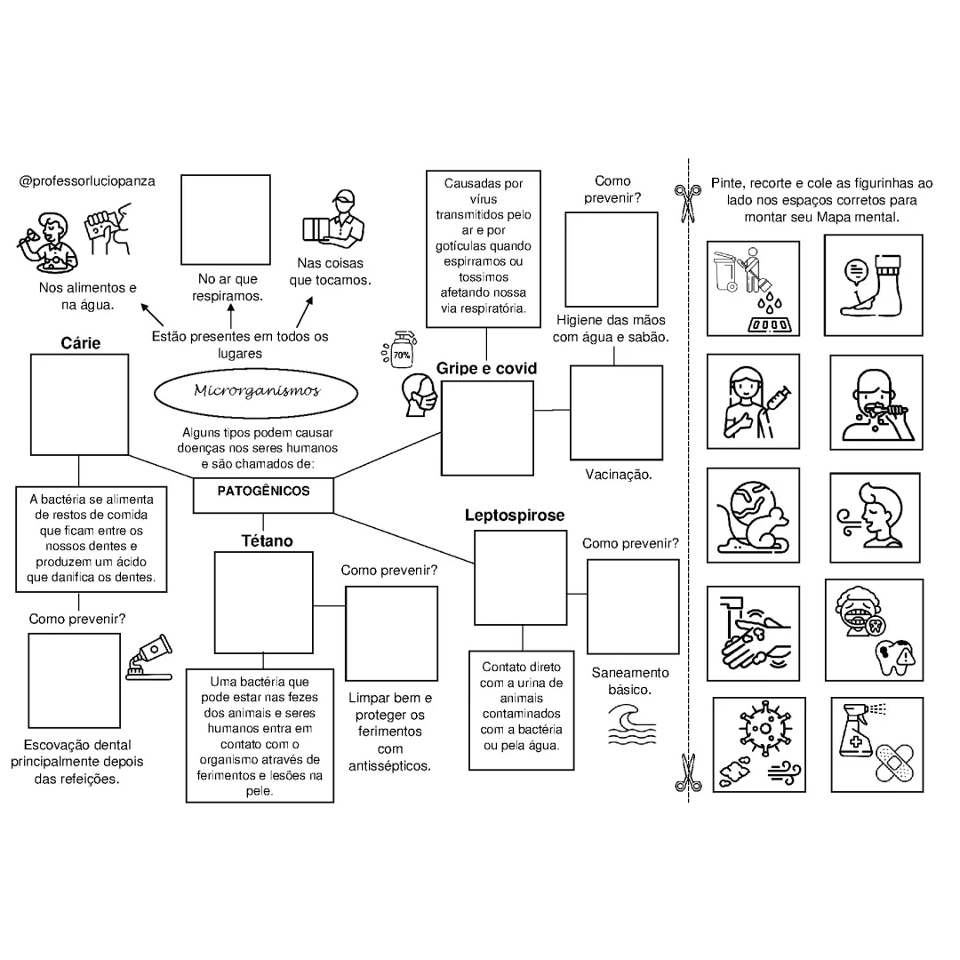 Quando os Microorganismos Trazem Doenças Mapa Mental Recorte e Colagem em PDF 4° Ano