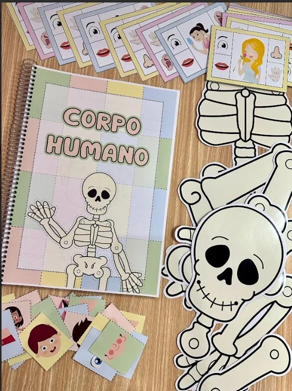 APOSTILA CORPO HUMANO — imagem 2