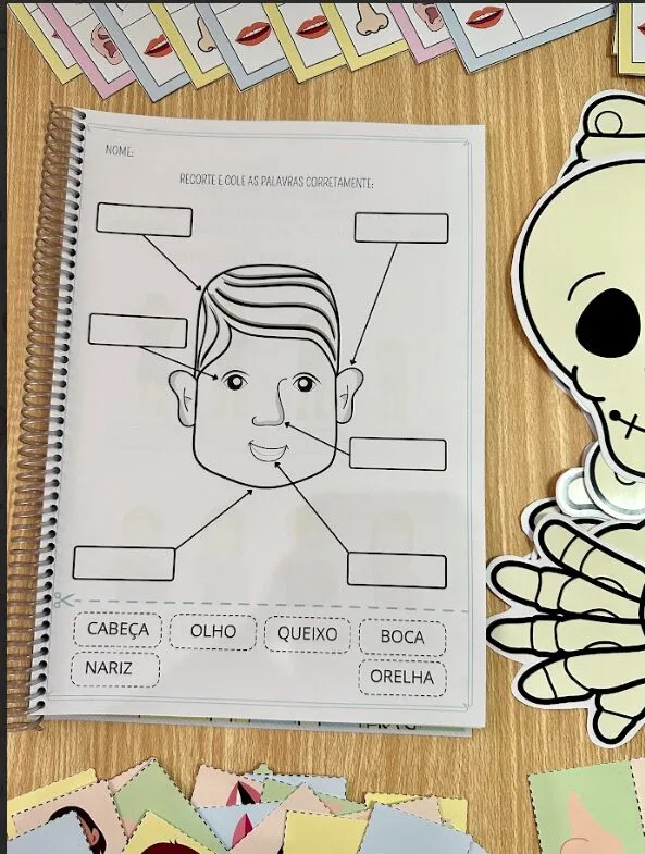 APOSTILA CORPO HUMANO — imagem 4