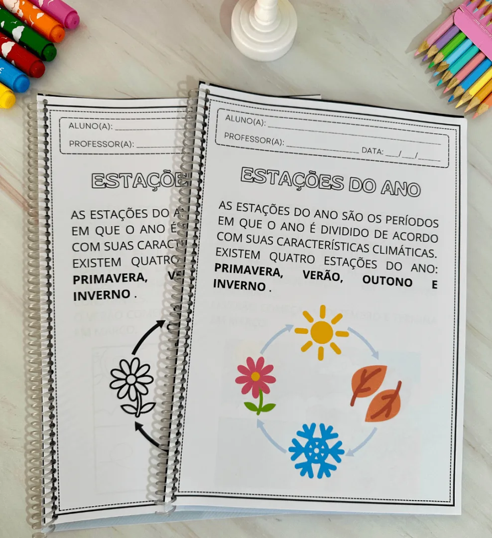 Apostila de Atividades: Estações do Ano — imagem 2