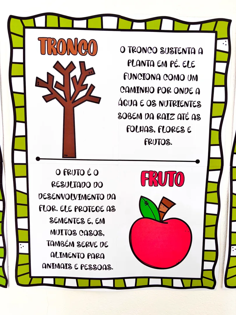 As partes da Árvore — imagem 2
