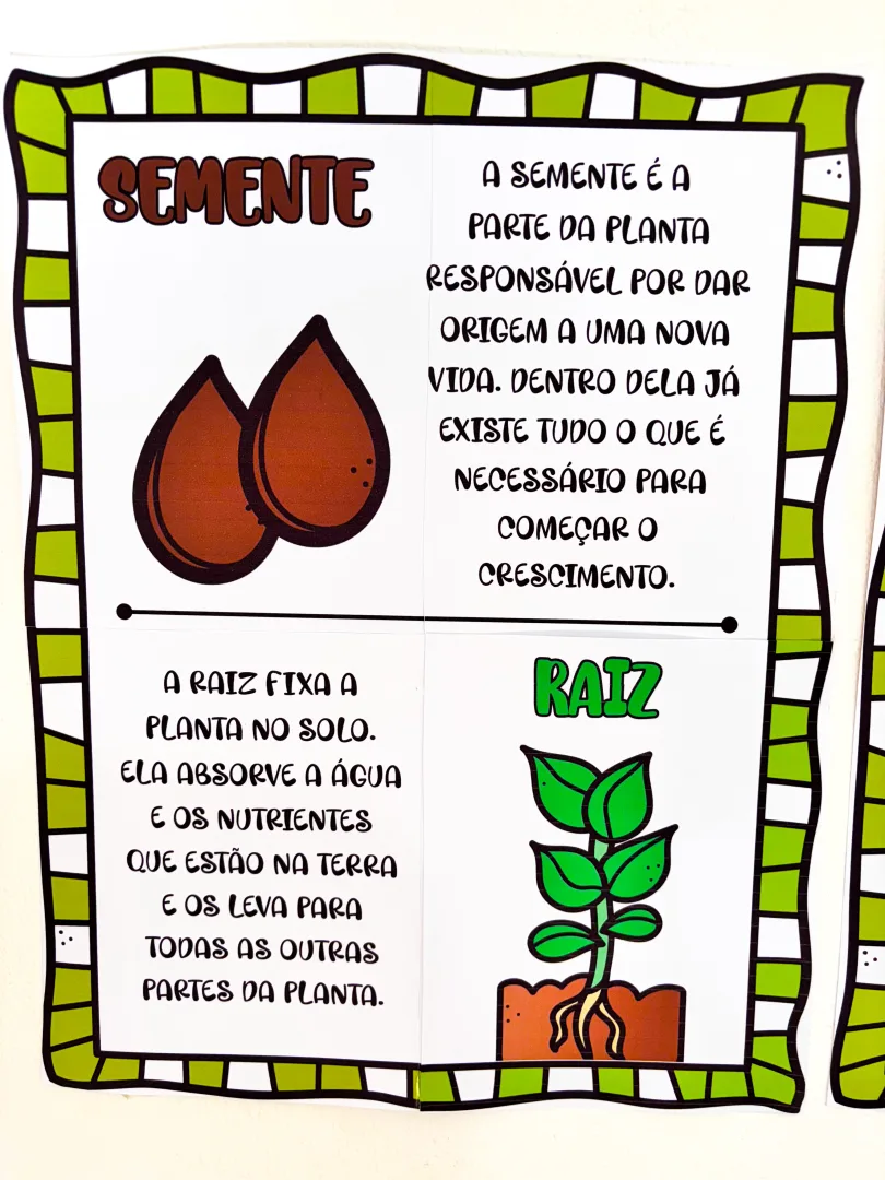 As partes da Árvore — imagem 3