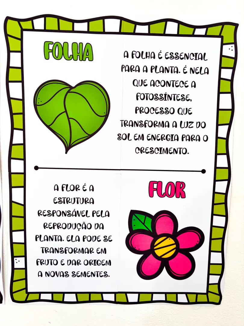 As partes da Árvore — imagem 4