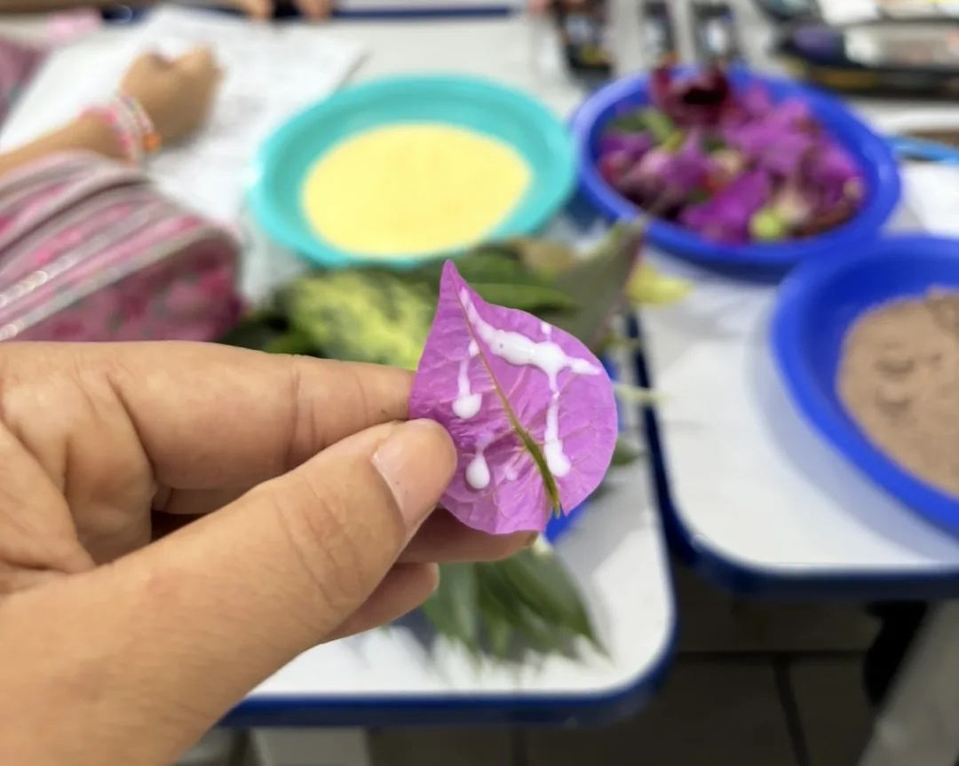 Atividade de Ciências Humanas - As Plantas para 2º e 3º ano - PDF — imagem 2