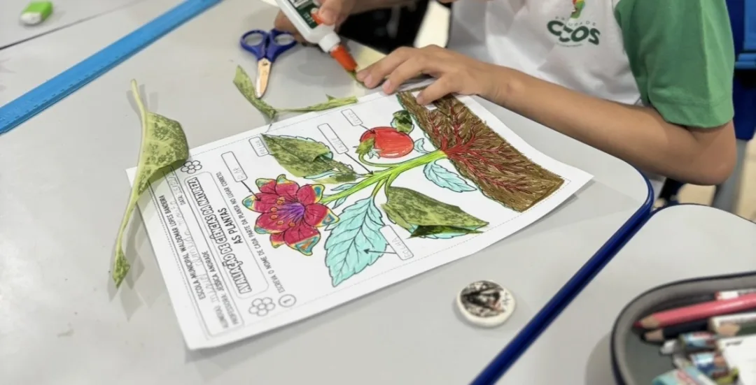 Atividade de Ciências Humanas - As Plantas para 2º e 3º ano - PDF — imagem 5