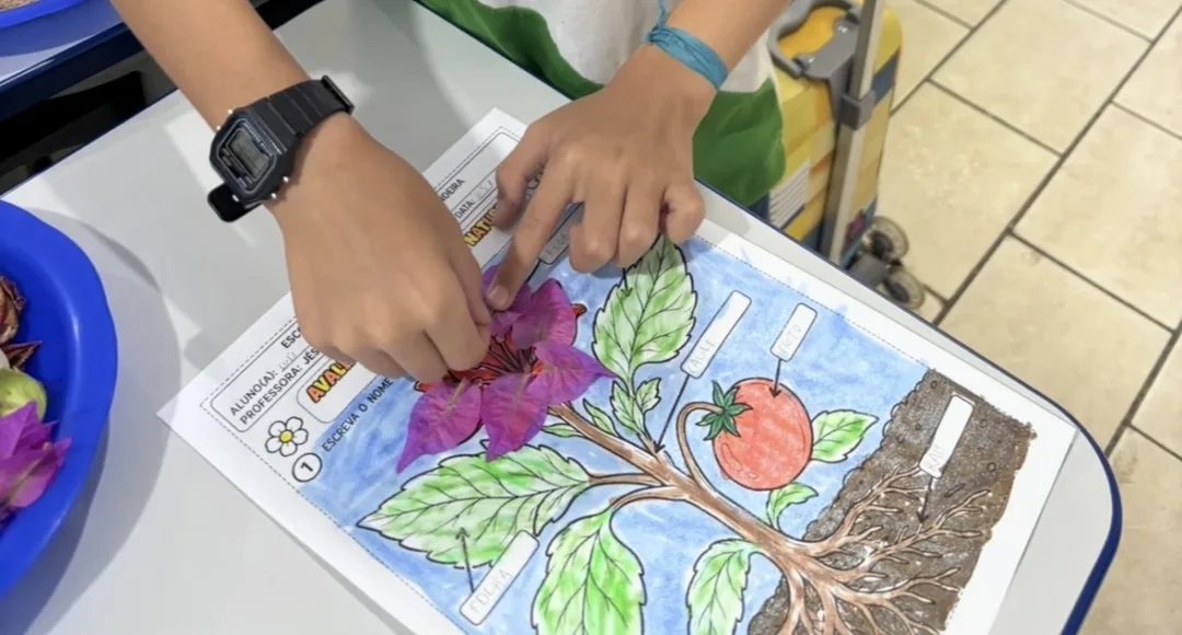 Atividade de Ciências Humanas - As Plantas para 2º e 3º ano - PDF — imagem 3