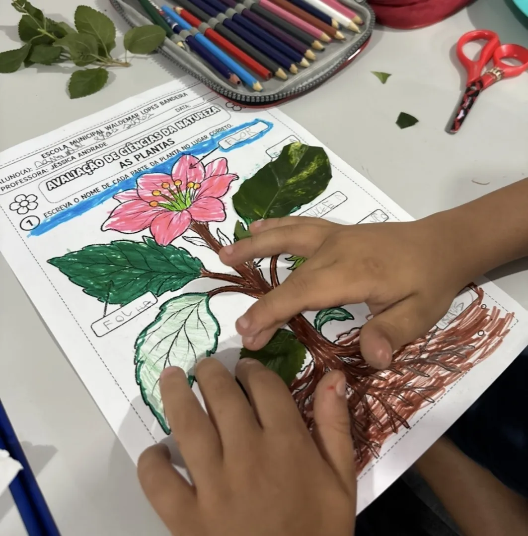 Atividade de Ciências Humanas - As Plantas para 2º e 3º ano - PDF — imagem 4