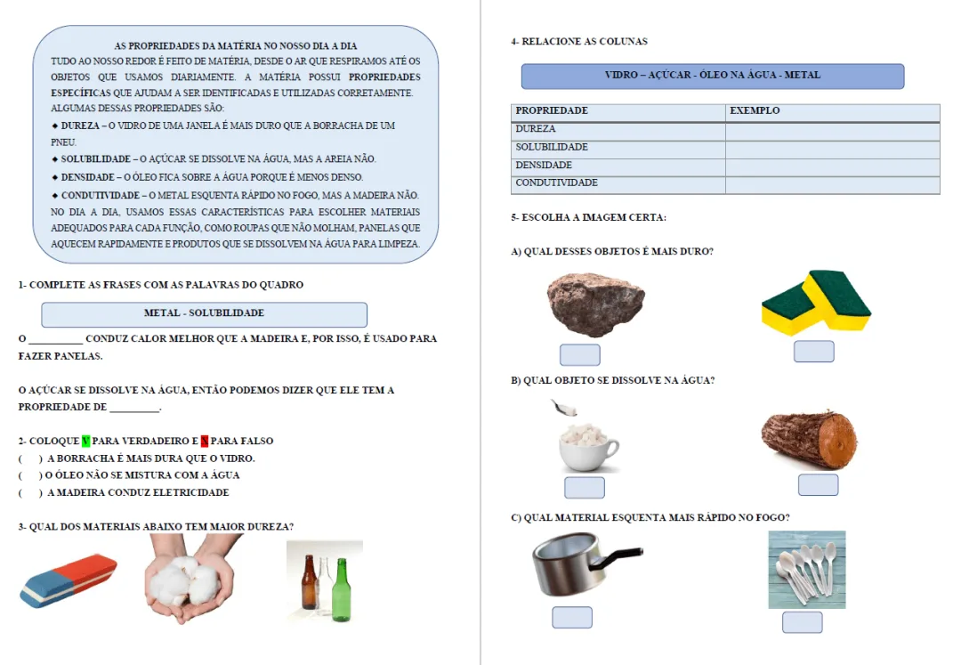 Atividades Adaptadas: As Propriedades da Matéria no Nosso Dia a Dia | Ciências | Educação Especial | Ensino Fundamental — imagem 2