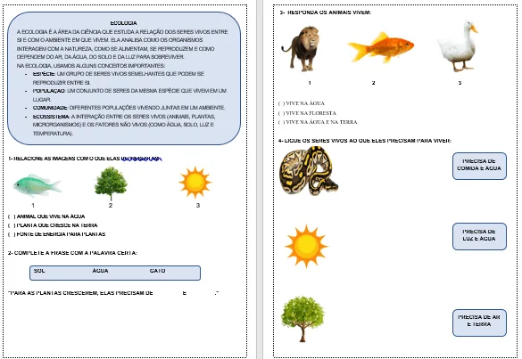 Atividades Adaptadas de Ecologia e Cadeia Alimentar (Educação Especial e AEE) 🌱🐇🦊 — imagem 2