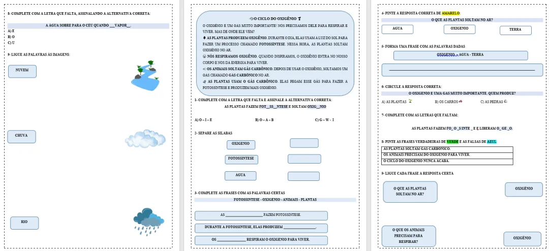 Atividades Adaptadas sobre Ciclos Biogeoquímicos: Água, Oxigênio, Nitrogênio e Carbono (Educação Especial e AEE) 🌍💧🌱 — imagem 4