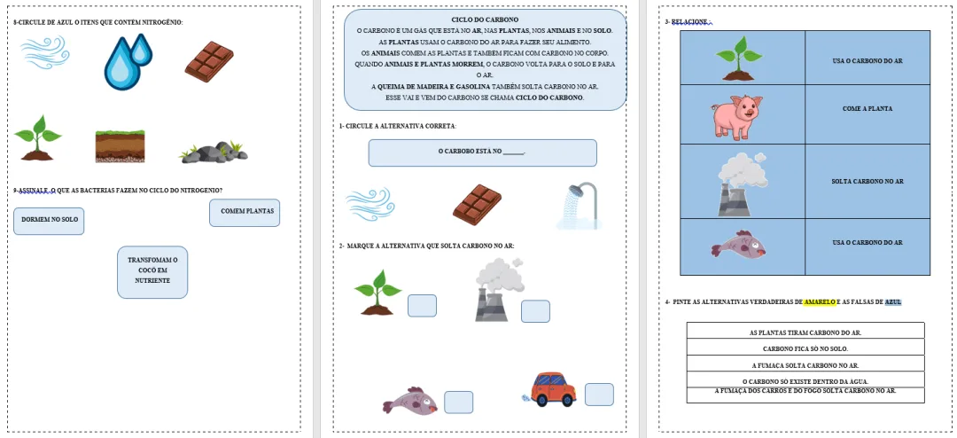 Atividades Adaptadas sobre Ciclos Biogeoquímicos: Água, Oxigênio, Nitrogênio e Carbono (Educação Especial e AEE) 🌍💧🌱 — imagem 2