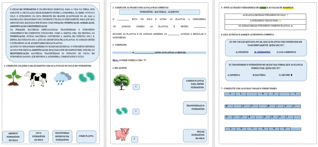 Atividades Adaptadas sobre Ciclos Biogeoquímicos: Água, Oxigênio, Nitrogênio e Carbono (Educação Especial e AEE) 🌍💧🌱 — imagem 3