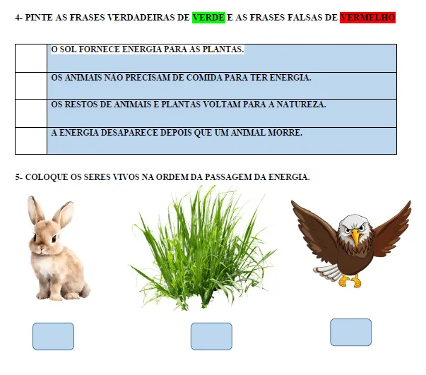 Atividades Adaptadas sobre Circulação de Matéria e Energia nos Ecossistemas (Educação Especial e AEE) — imagem 2
