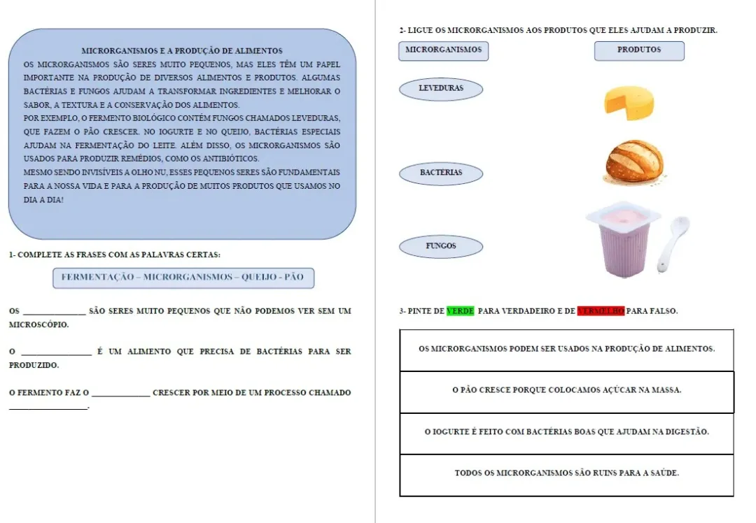 Atividades Adaptadas sobre Microrganismos na Produção de Alimentos (Educação Especial e AEE) 🦠🍞 — imagem 3