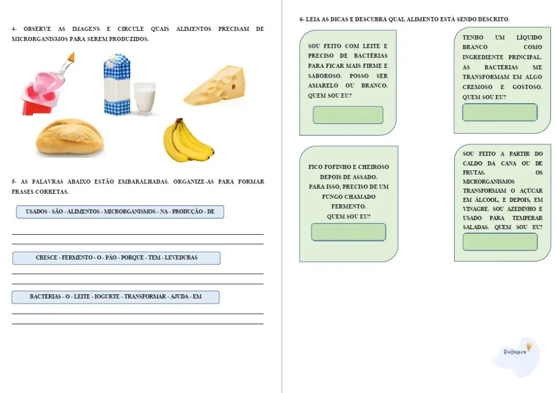 Atividades Adaptadas sobre Microrganismos na Produção de Alimentos (Educação Especial e AEE) 🦠🍞 — imagem 2