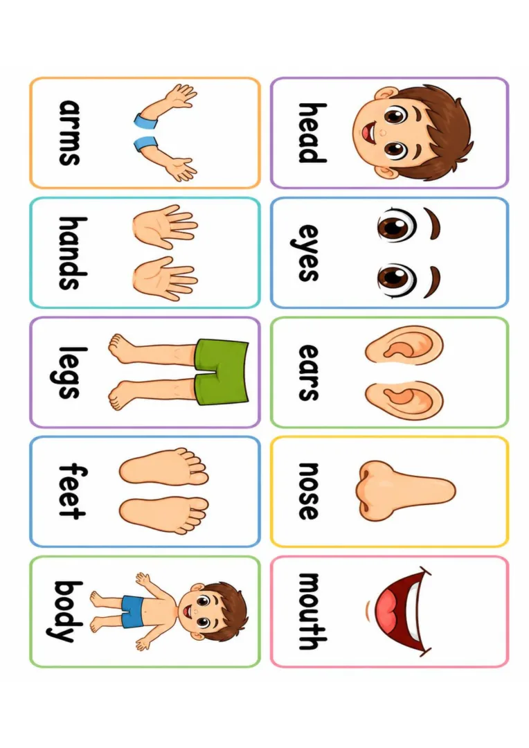 Atividades de Inglês - Corpo Humano e Monstros - Educação Infantil - PDF — imagem 6
