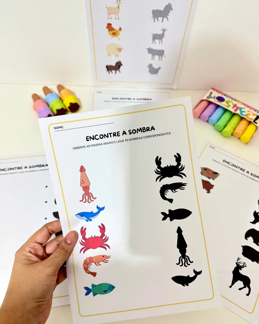 Atividades Sombras para Educação Infantil e Anos Iniciais  — imagem 4