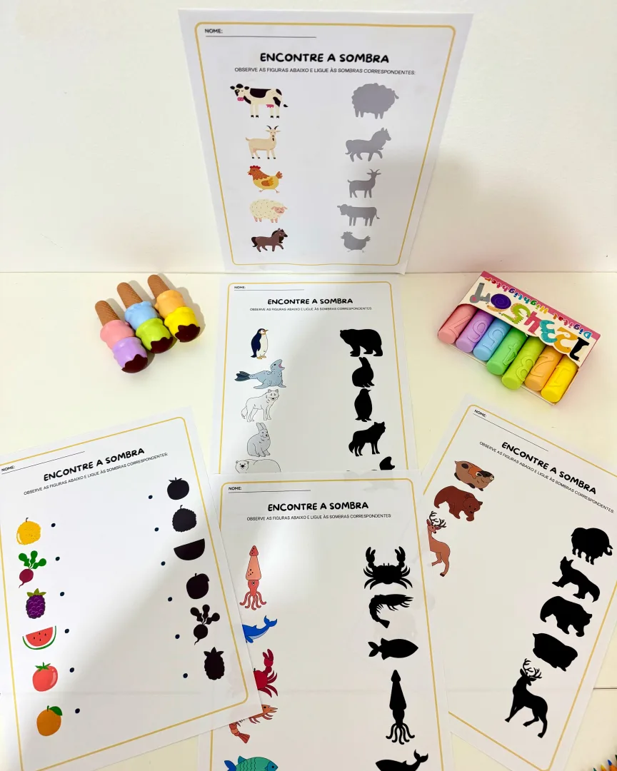 Atividades Sombras para Educação Infantil e Anos Iniciais  — imagem 2