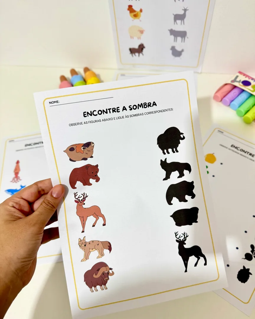Atividades Sombras para Educação Infantil e Anos Iniciais  — imagem 3