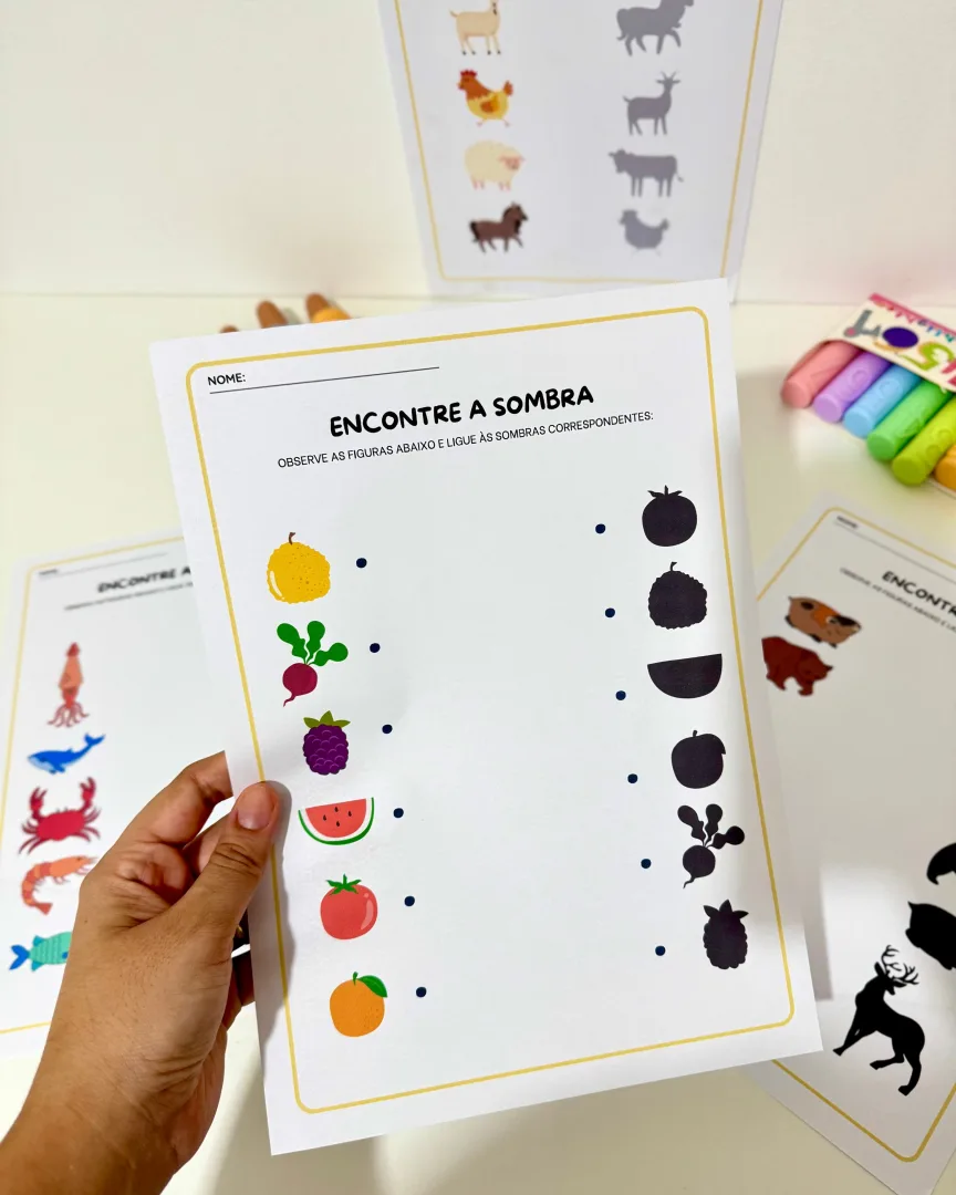 Atividades Sombras para Educação Infantil e Anos Iniciais  — imagem 5